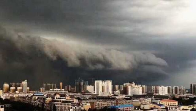 电闪雷鸣!哈尔滨乌云压城暴雨来袭 市民:这下的不是雨是瀑布