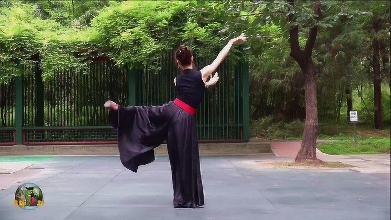 紫竹院最新广场舞《相思》,小红老师背面演示