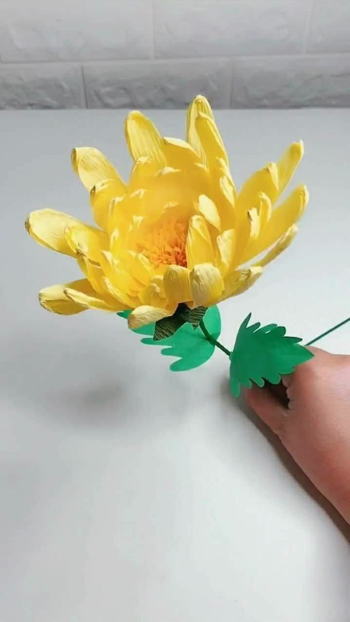 手折菊花大家看看真的好棒哦