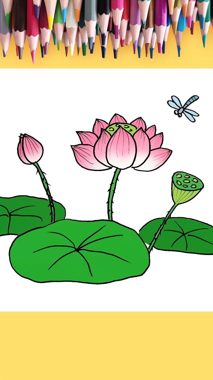 简单又漂亮的荷花简笔画怎么画