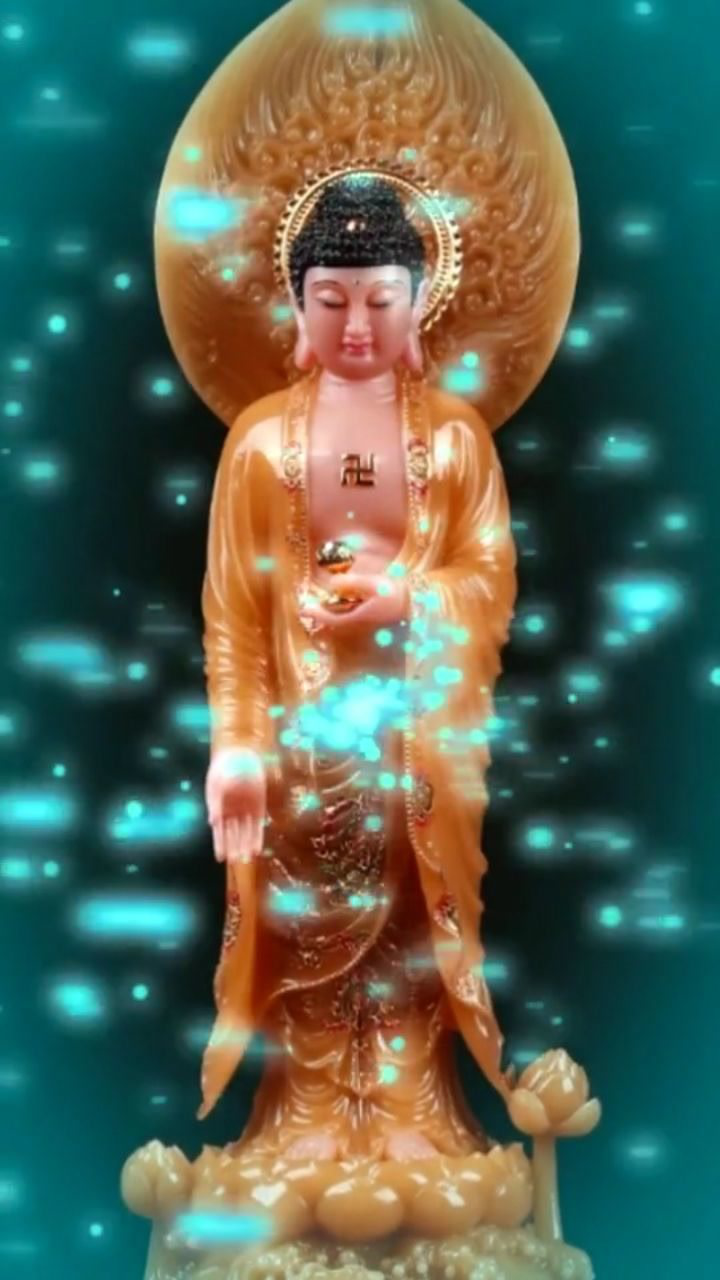 愿一切众生六时吉祥阿弥陀佛