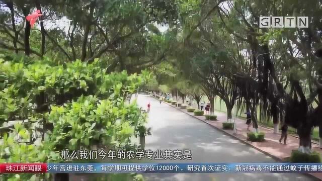 广东高校举行2020年线上校园开放日