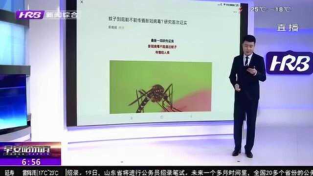 蚊子到底能不能传播新冠病毒?美国研究机构首次证实 结果很意外