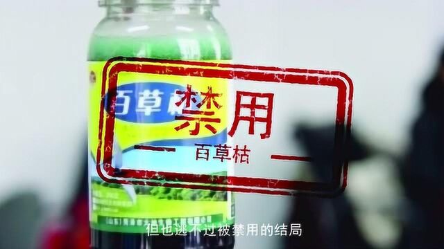 农药王者—百草枯!地球致死率最高的东西,喝下百草枯身体多痛苦