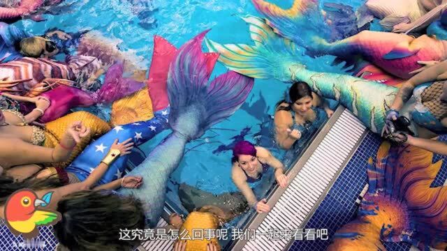 外国举办“美人鱼”聚会,参与者高达300人,其中还有男性!