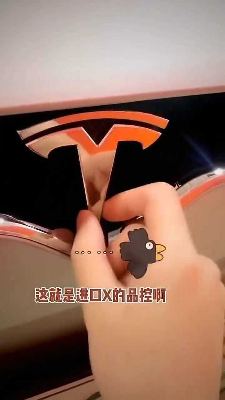 美女买的特斯拉车标都松动了这80万花的挺亏