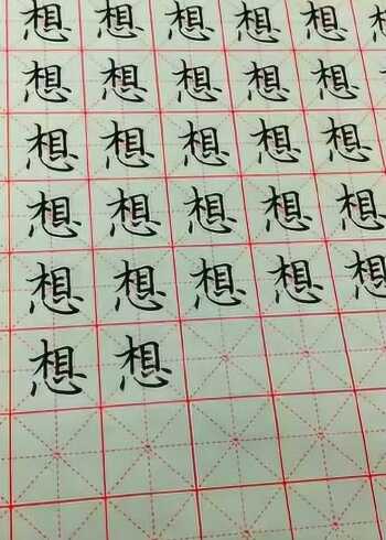 硬笔书写楷书想字