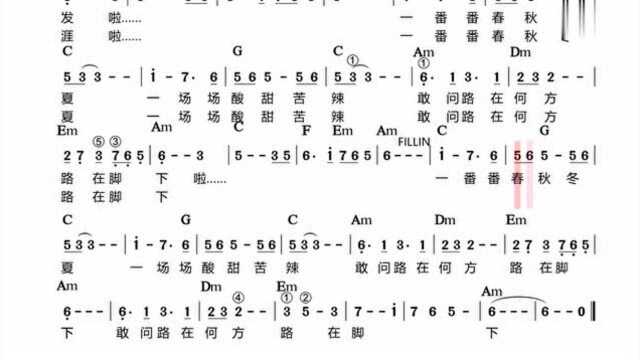 零基础学简谱电子琴:《敢问路在何方》带和弦的有声视频