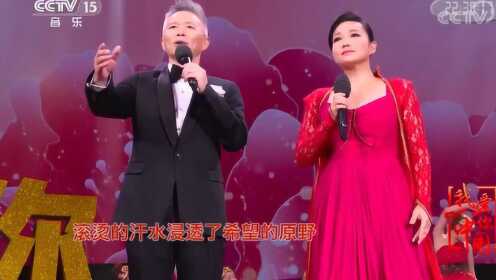 王莉 王宏伟演唱《这条路》，堪称最强组合，实在太好听了！