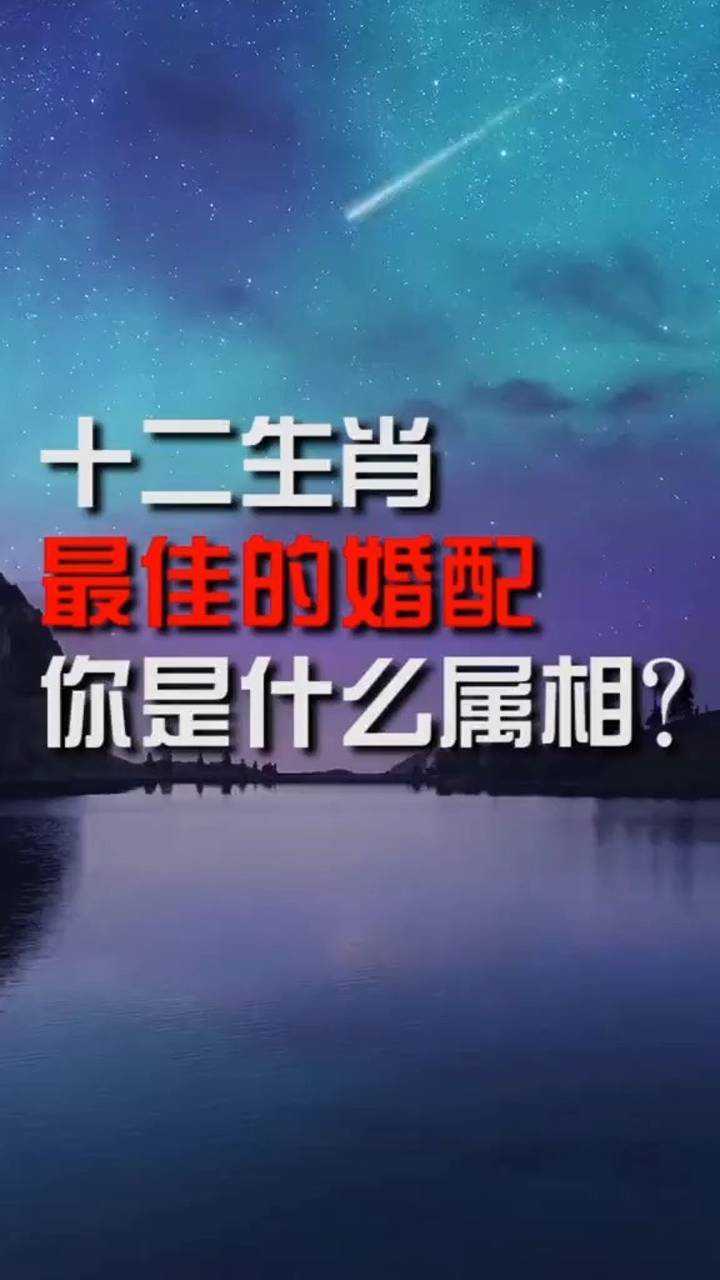 十二生肖最佳的婚配你是什麼屬相呢