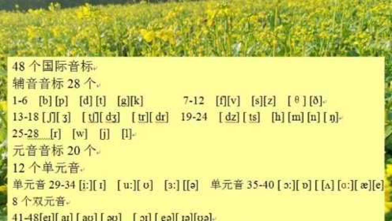 英语国际音标3,辅音06,01,t06,d01,tr,dr,发音规则和单词拼读