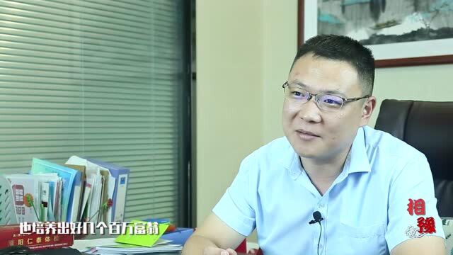 《e起相豫 老家河南》濮阳站:濮阳仁泰体检中心行政总监段义东