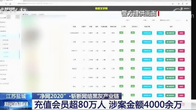 斩断黑灰产业链!小说充值会员超80万人,涉案金额破4000余万