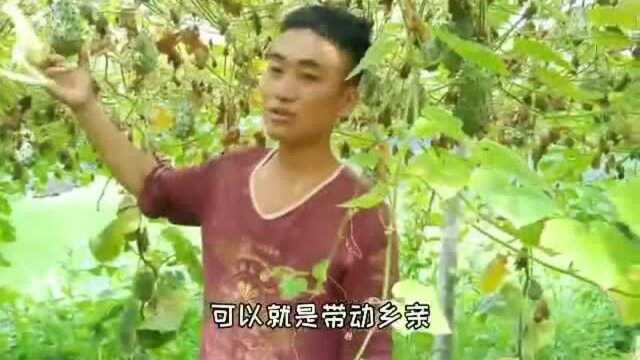 新麻阳小视频