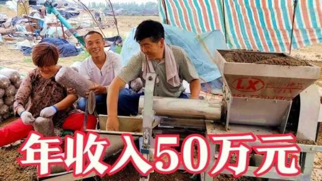 农村夫妻5000元买台小型机器,只需2个人操作,每年轻松收入50万