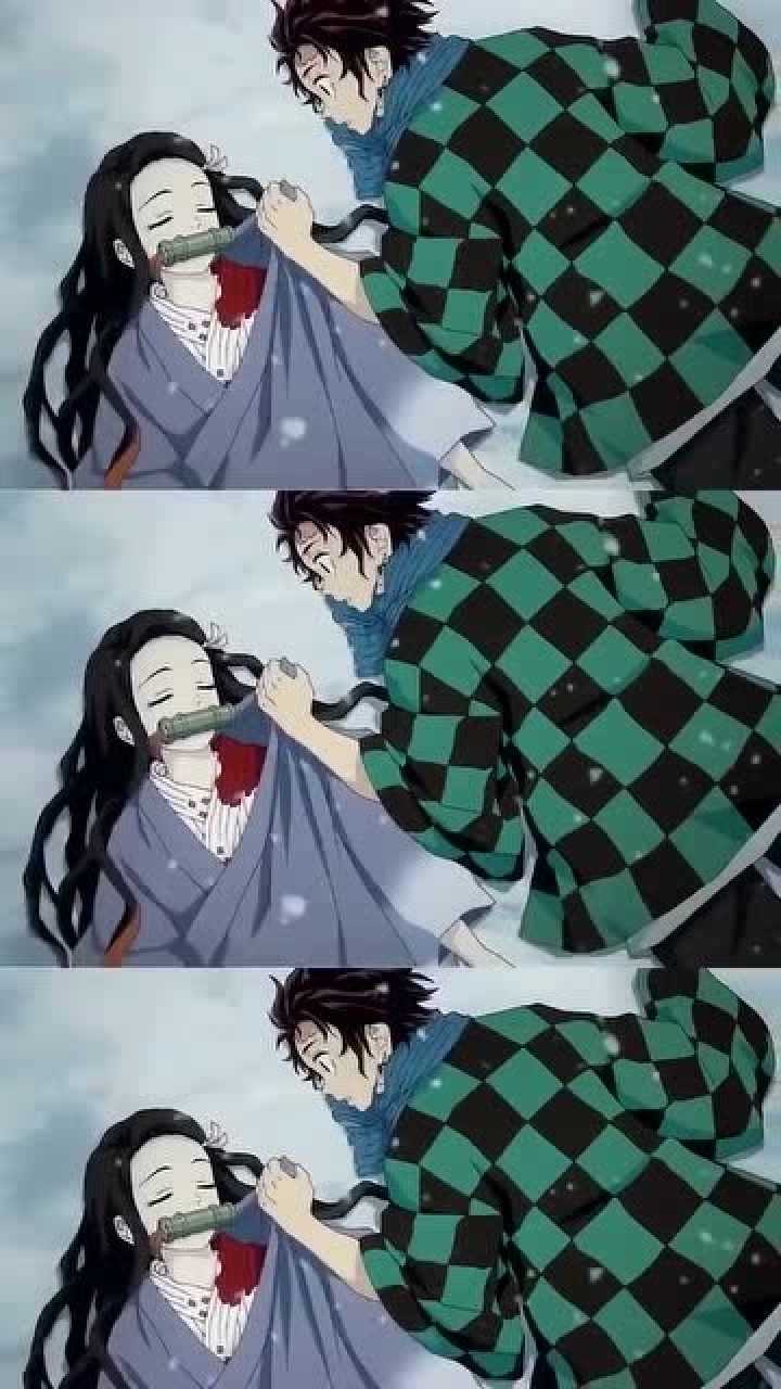 鬼灭之刃:如果不是因为无惨,炭治郎和祢豆子一家人原本该有多么幸福