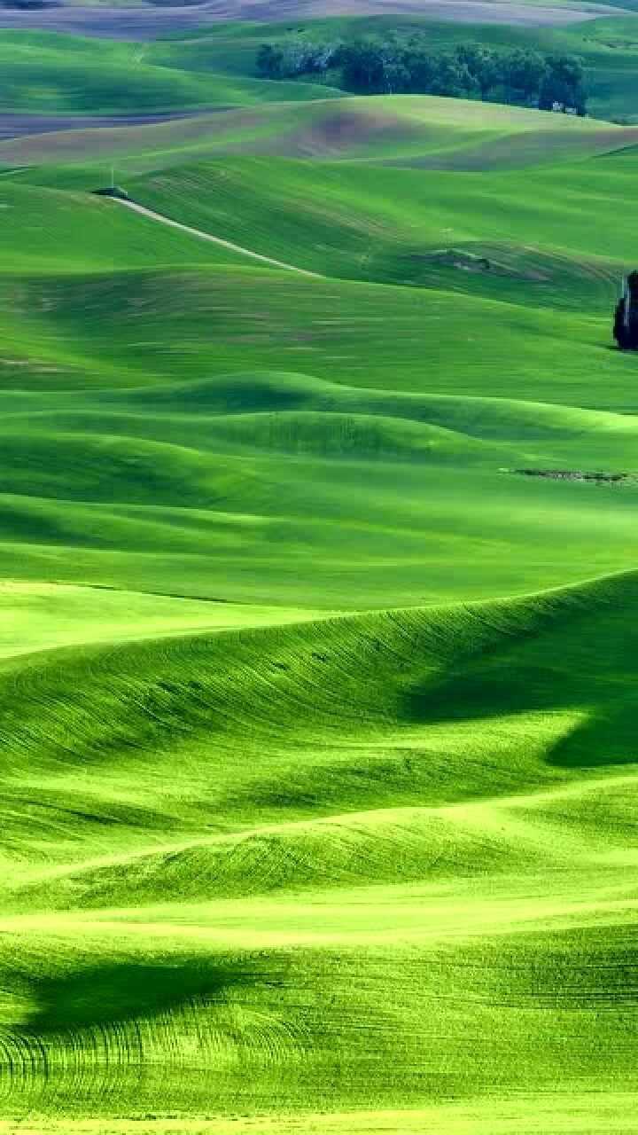 720_1280竖版 竖屏