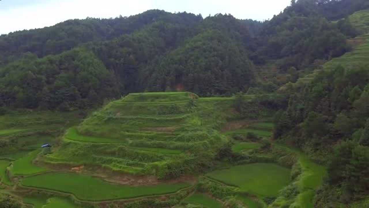 此地有一絕佳穴位只有懂風水的名師才能看出來難得的風水寶地