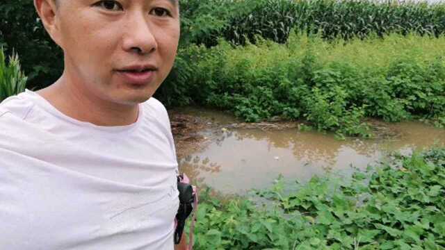 风雨人生路,慢慢去品味