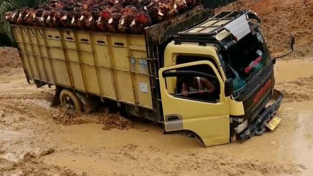 河南农村货车司机的日常,这职业虽说工资不错,但也要有命花!