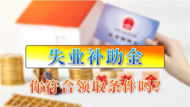 只有2020年才能领取的失业补助金,你符合申领条件吗?快来看看