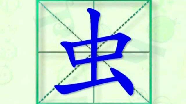 大家一起跟着视频学习生字虫的写法,学习拼音和英文读法