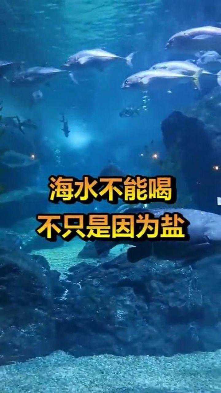 海水为什么不能喝专家给出答案真的不敢喝