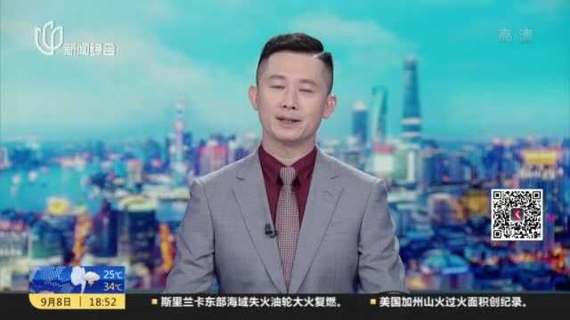 嘉定:做大做强三大核心功能 助力长三角一体化高质量发展