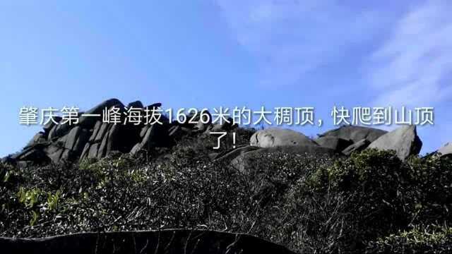 肇庆大稠顶快爬到山顶了,再爬上这段小斜坡就是1626米的山顶!