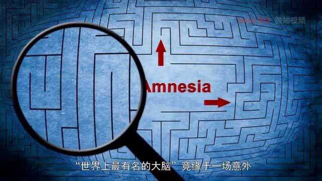 因失忆成为“明星患者”,“世界上最有名的大脑”竟缘于一场意外