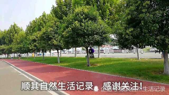 山西临汾:美丽西站