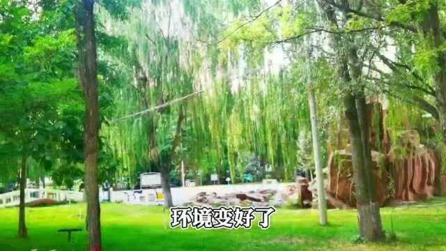 文明创建大家谈 | 吴忠市民有话说