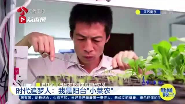 你想当阳台“小菜农”吗?都市农夫教你在阳台种菜