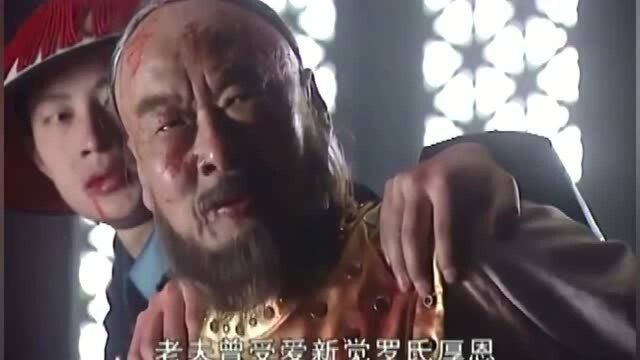 明粉的胡乱理论不但黑了清朝还骂了祖宗