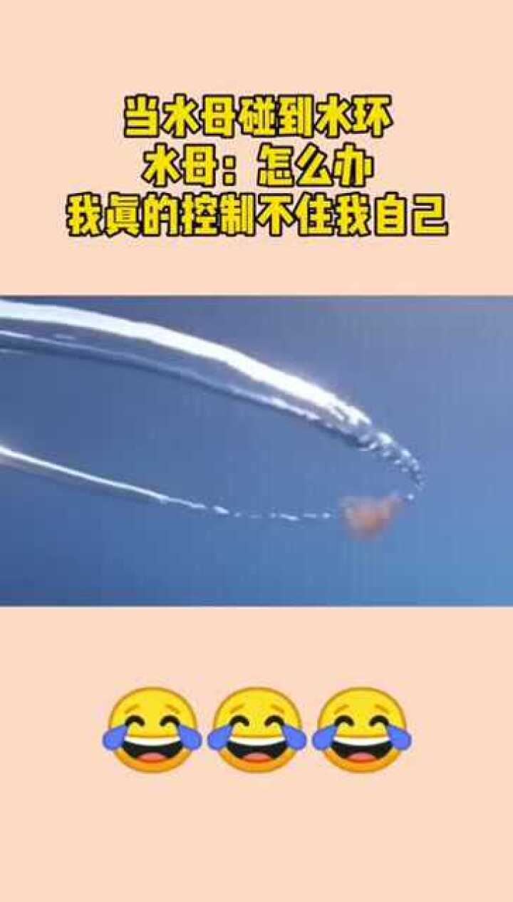 当水母碰到水环水母怎么办我真的控制不住我自己