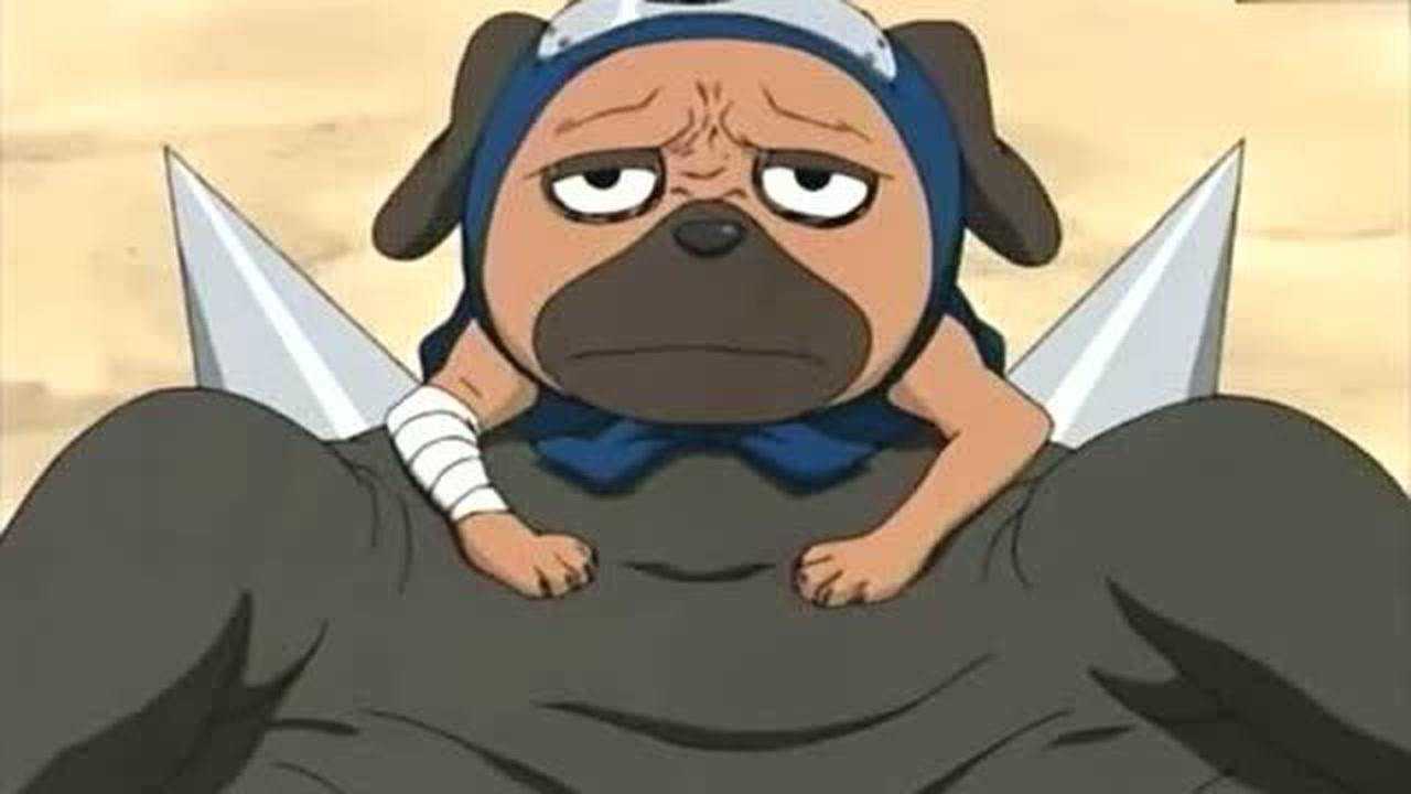 火影:卡殿的八忍犬一直长不大,以前召唤出来就帕克和布鲁不叫唤