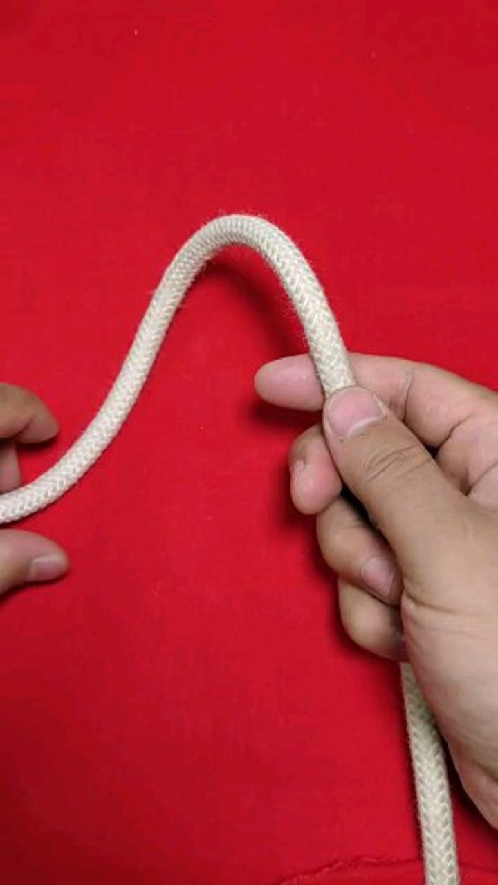 布林结――单套结之王