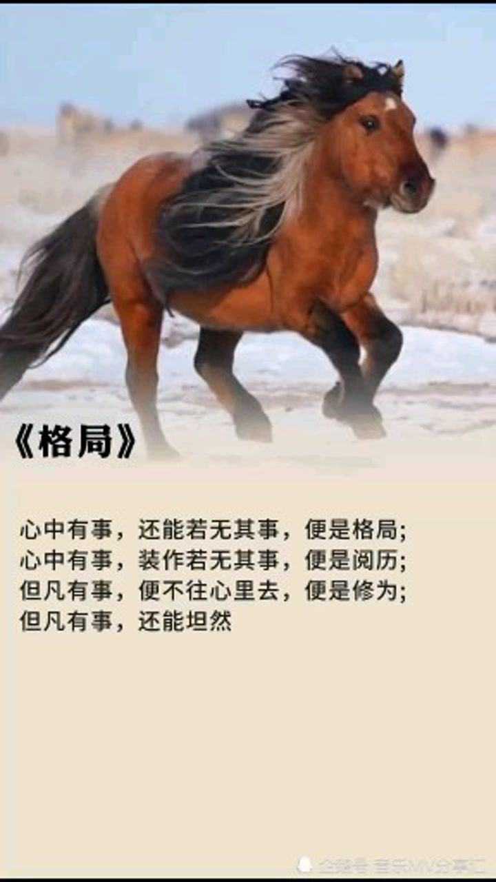 分享:格局决定成功