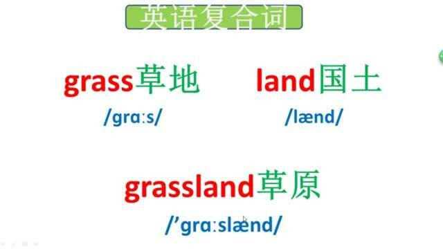 零基础学英语,记单词的窍门百试不爽,你确定不看一下吗