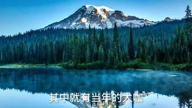 人有不同的气质,你是什么样的气质,就会吸引什么样的人