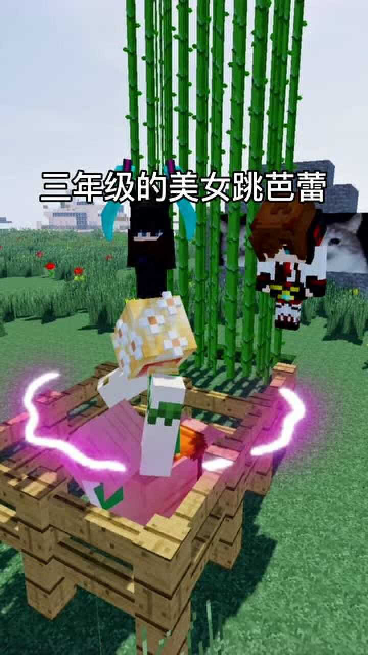 我的世界一年级的小偷二年级的贼三年级的美女跳芭蕾后面的你会接吗