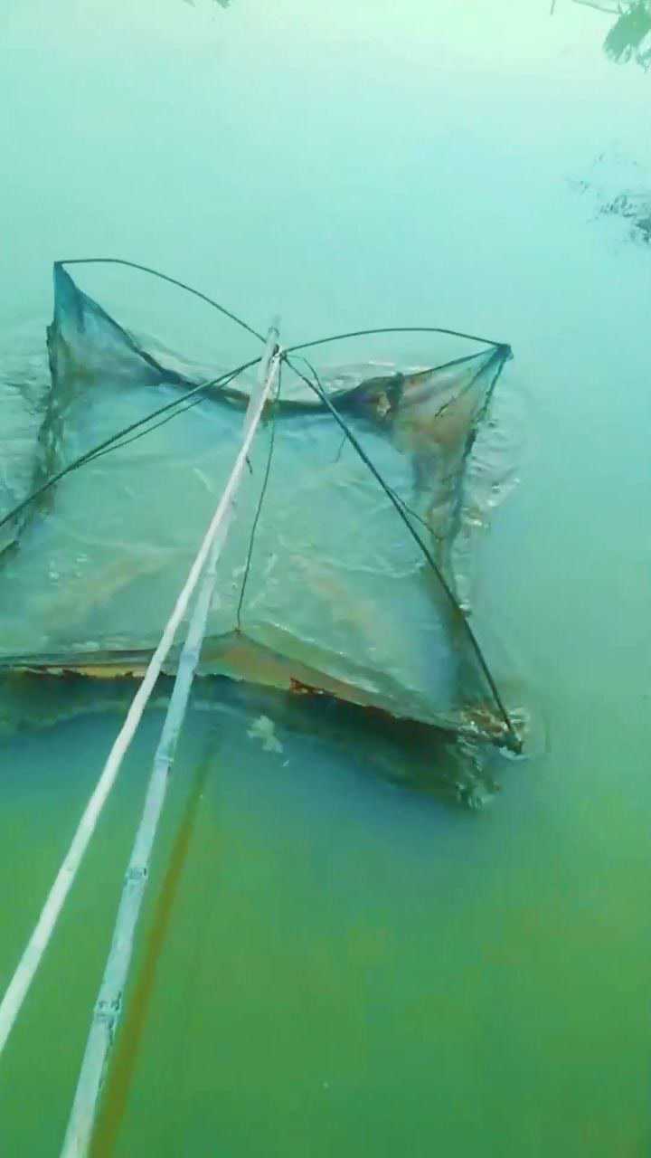 扳罾80年代常见的捕鱼工具你有见过吗