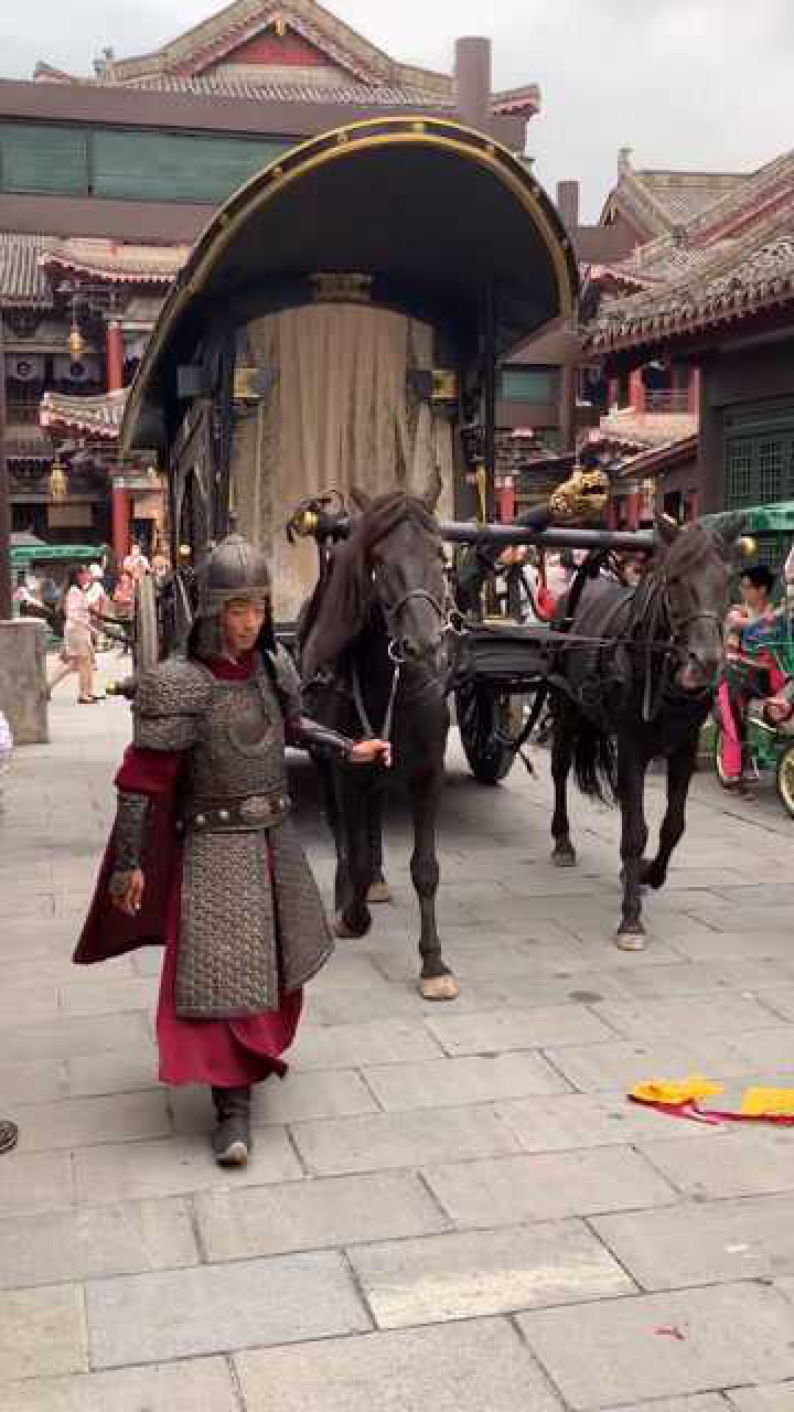 皇上成毅坐的马车