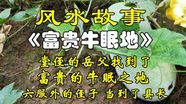 风水故事《富贵牛眠地》堂侄岳父笃信风水,他找到了一块风水宝地