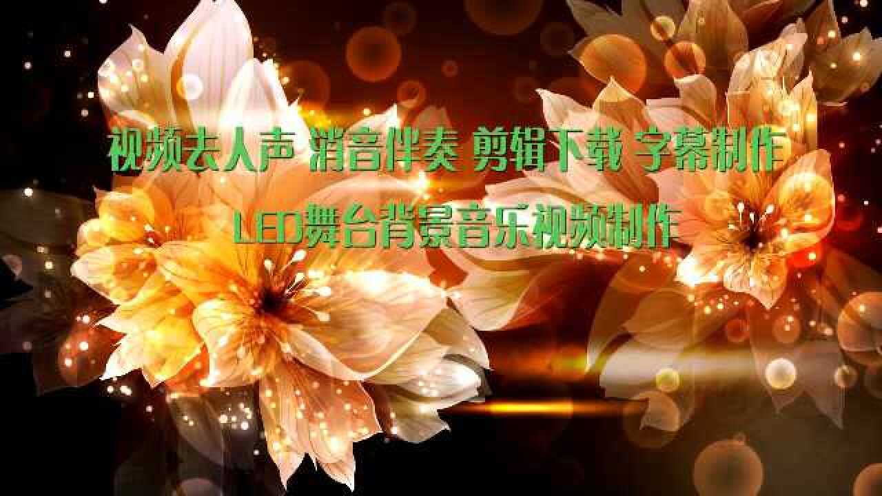 一粒米 王明亮 袁和劍 純伴奏 r bgm背景音樂 剪輯下載 截音樂 消音