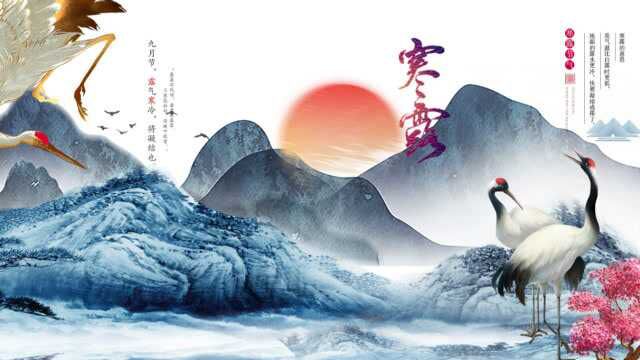 24节气寒露“一候鸿雁来宾;二候雀入大水为蛤;三候菊有黄华.”