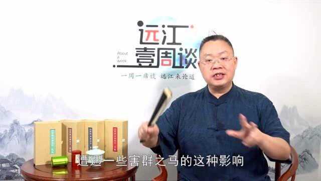 远江一周谈 | 安惠口碑与陈惠董事长的导师