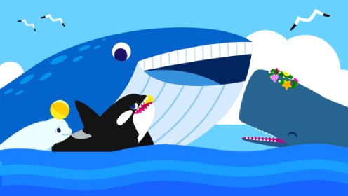 鲸鱼歌，认识不同种类的鲸鱼，了解它们的习性_138