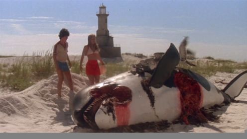 大白鲨：史上最倒霉的白鲨，一口咬到海底的电缆，当场被电死！