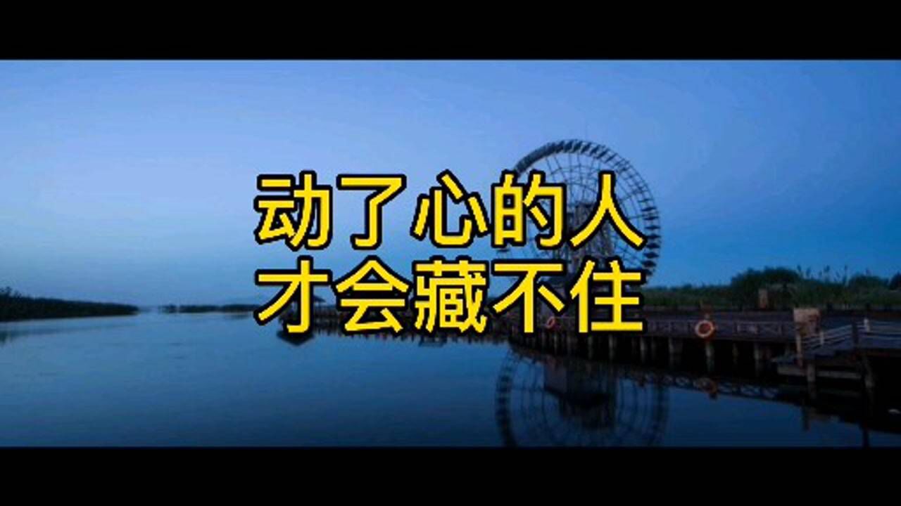 动了心的人,才会藏不住;入了心的情,忘不了,放不下